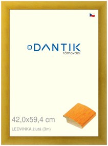 DANTIK rám na obraz 42x59,4 | LEDVINKA žlutá (Plexi Čiré)