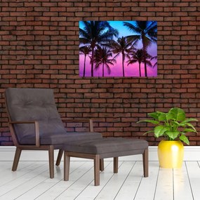 Sklenený obraz - Palmy v Miami (70x50 cm)