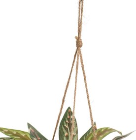 Umelá rastlina (výška 25 cm) – Casa Selección