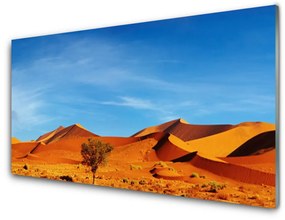 Skleneny obraz Púšť krajina 140x70 cm
