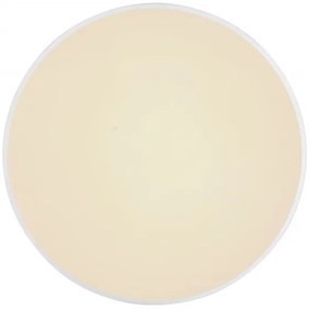 Globo 41586-24 - LED Stmievateľné stropné svietidlo SONNY LED/24W/230V + DO