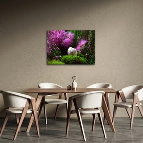 Obraz - Slimáková ulita (70x50 cm)