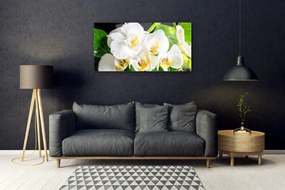 Obraz plexi Orchidea kvety príroda 100x50 cm