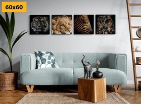 Set obrazov divoké zvieratá - 4x 40x40
