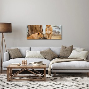 Obraz - dve levice (120x50 cm)