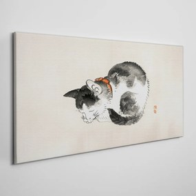 Obraz na plátne Zvieracie mačka