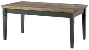 Konferenčný stolík Evora 99 Dub Lefkas/Zelená