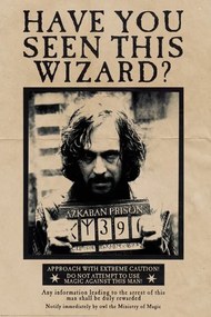 Plagát, Obraz - Harry Potter - Wanted Sirius Black, (80 x 120 cm)