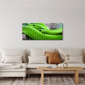 Obraz zelených hadov (120x50 cm)