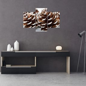 Obraz - Šišky (90x60 cm)