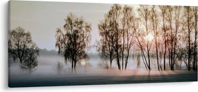 Obraz - Ranná sychravosť (120x50 cm)