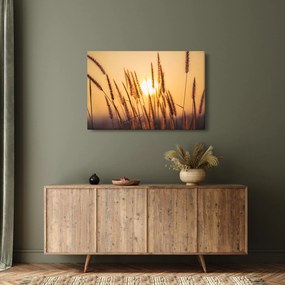 Obraz - Traviny na slnku (90x60 cm)