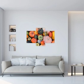 Obraz - Tekvica (90x60 cm)