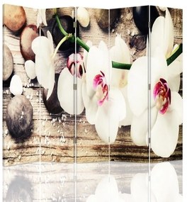 Ozdobný paraván Bílé sedmikrásky květy - 180x170 cm, päťdielny, obojstranný paraván 360°