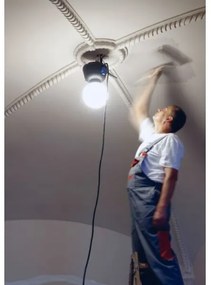 Helios 306-WLG223 - LED Vonkajšie osvetlenie WORK GLOBE 2 LED/23W/230V IP44