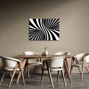 Abstraktní obraz so zebrymi pruhmi (70x50 cm)