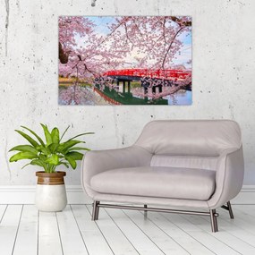 Obraz - Hirosaki, Japonsko (90x60 cm)
