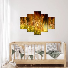Obraz - Detail rosy (150x105 cm)