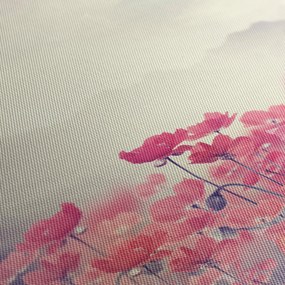 Obraz - Vlčie maky (90x60 cm)