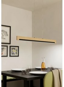 Eglo 99293 - LED Stmievateľný luster na lanku CAMACHO LED/25,5W/230V