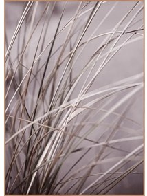 Obraz 50x70 cm Mellow Grasses 1 – Malerifabrikken