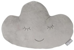 Detský vankúšik – Roba