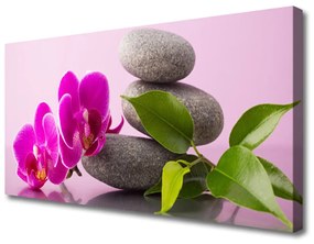 Obraz Canvas Kvet kamene zen rastlina 140x70 cm
