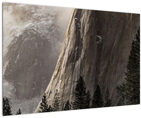 Obraz z údolia Yosemite národnej parku, USA (90x60 cm)