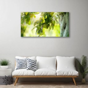 Obraz Canvas Jablká vetva strom príroda 120x60 cm