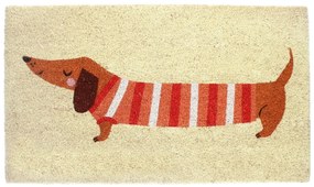 Rohožka z kokosového vlákna 43x73 cm Sausage Dog – Rex London