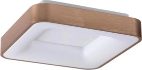 Rabalux 5056 - LED Stropné svietidlo CARMELA LED/30W/230V