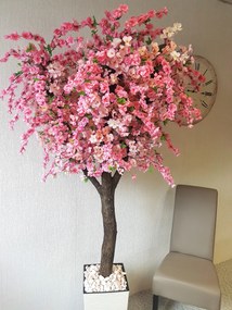 Kvitnúci strom- Japonská čerešňa 220 cm