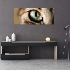 Obraz - Mačacie oko (120x50 cm)