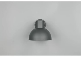 Nástenné vonkajšie svietidlo (výška 18,5 cm) Elbe – Trio