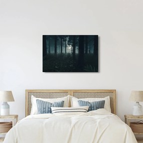Obraz - Paprade v mesačnom svite (90x60 cm)