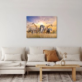 Obraz - Africké zvieratá (70x50 cm)