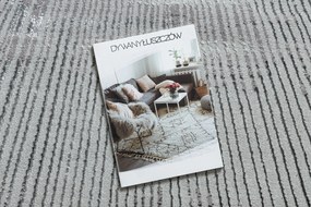 Koberec BLISS Z206AZ256 svetlosivý/sivý - Čiary, moderný, štrukturálny