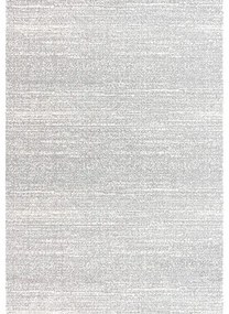 Koberec Delgardo 496-01 sivý 160x230 cm