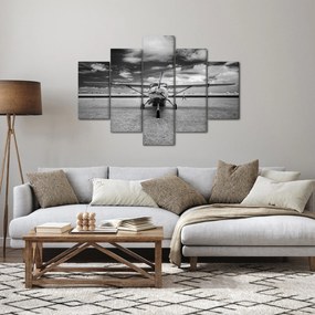 Obraz - Lietadlo čiernobiele (150x105 cm)
