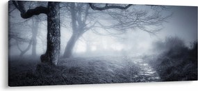 Obraz - Cesta v hmle (120x50 cm)