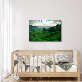 Obraz - Čajové plantáže v Malajzii (90x60 cm)