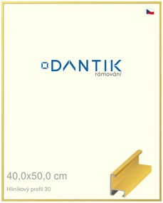 DANTIK rám na obraz 40x50 | ALU Dýha barevná žlutá citrus (Plexi Čiré)