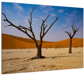 Obraz - Údolie smrti (70x50 cm)