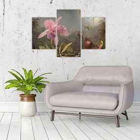 Obraz - Martin Johnson Heade, Cattleya Orchid and Three Hummingbirds, reprodukcia (90x60 cm)
