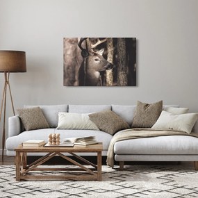Obraz - Jeleň v lese (90x60 cm)