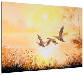Sklenený obraz - Žeriavy pri západe slnka (70x50 cm)
