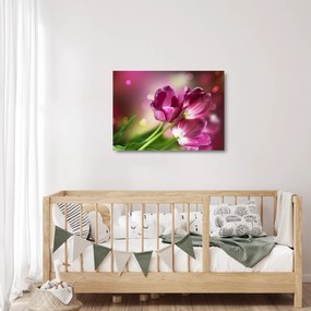 Sklenený obraz ružových tulipánov (70x50 cm)