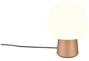 Stolová lampa v bielo-bronzovej farbe so skleneným tienidlom (výška 27 cm) Steen – Trio