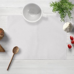 Biante Dekoračné prestieranie na stôl BKS-408 Studená svetlo sivá 30x40 cm