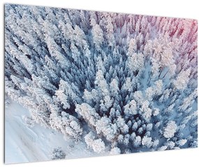 Obraz zasnežených stromov (90x60 cm)